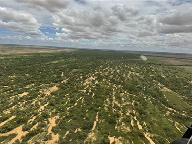 Aerial photo in Boulia shire showing flooded channels