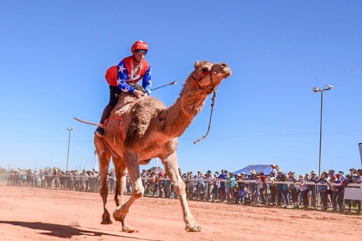 2019 Camel Races